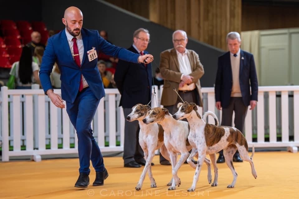 Naïstima - Concours Général Agricole 2022